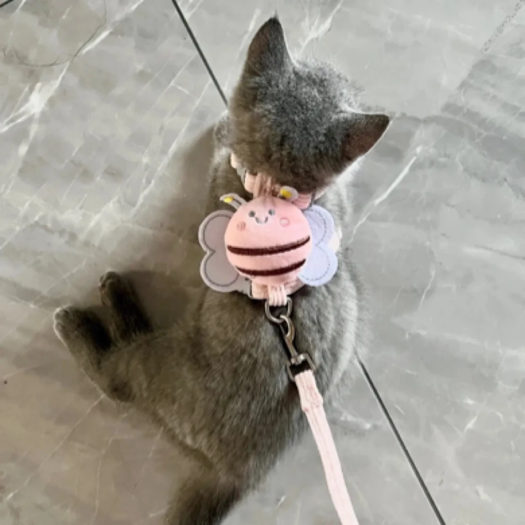小蜜蜂款式猫咪兔子防挣脱外出遛弯胸背牵引绳