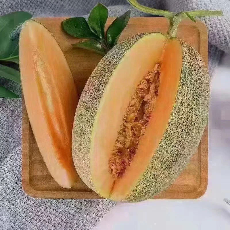 小蜜 一个