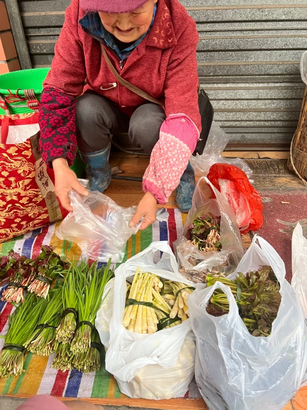 时令农家现采蔬菜