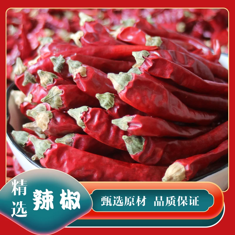 自然风干 特辣印度魔鬼椒 巨辣 干红辣椒包邮 精选 新鲜干辣椒