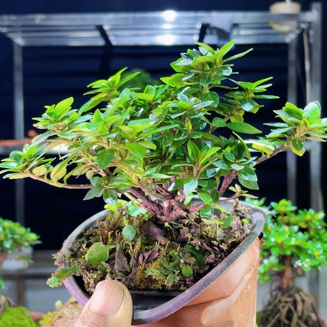 山****8我也有很多的朋友可以