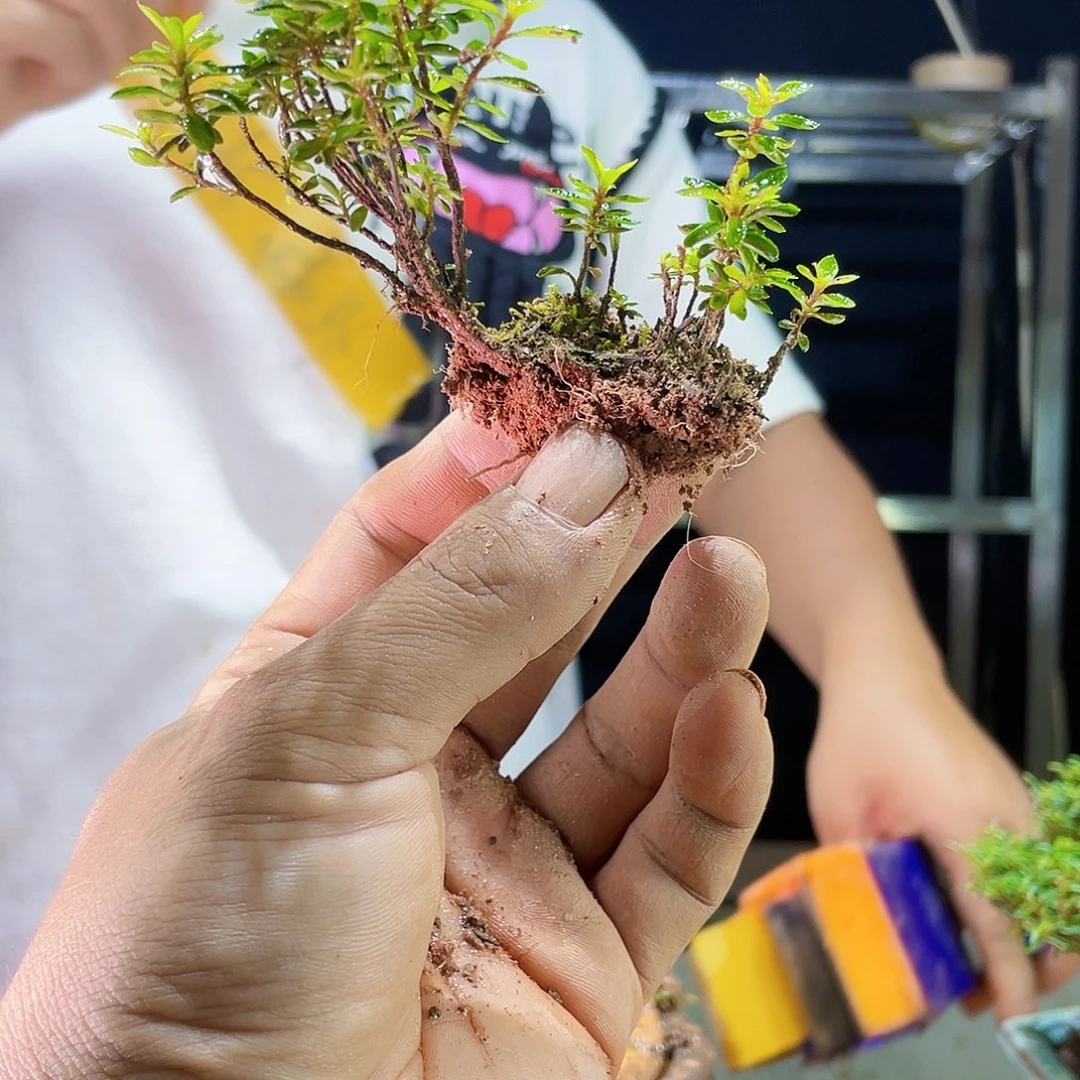 光**落我们的生活。你是不是