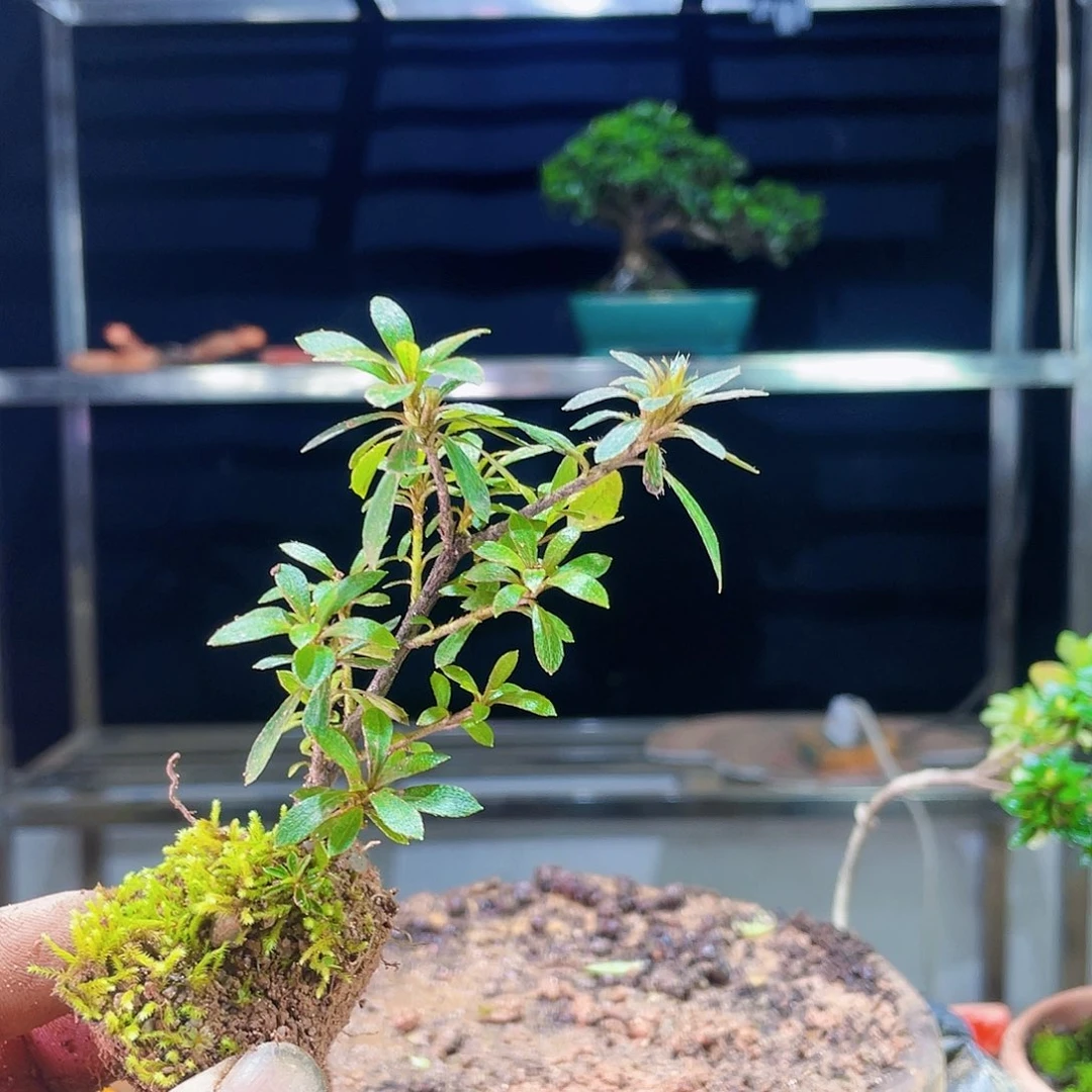 阿****包我也有很多的朋友