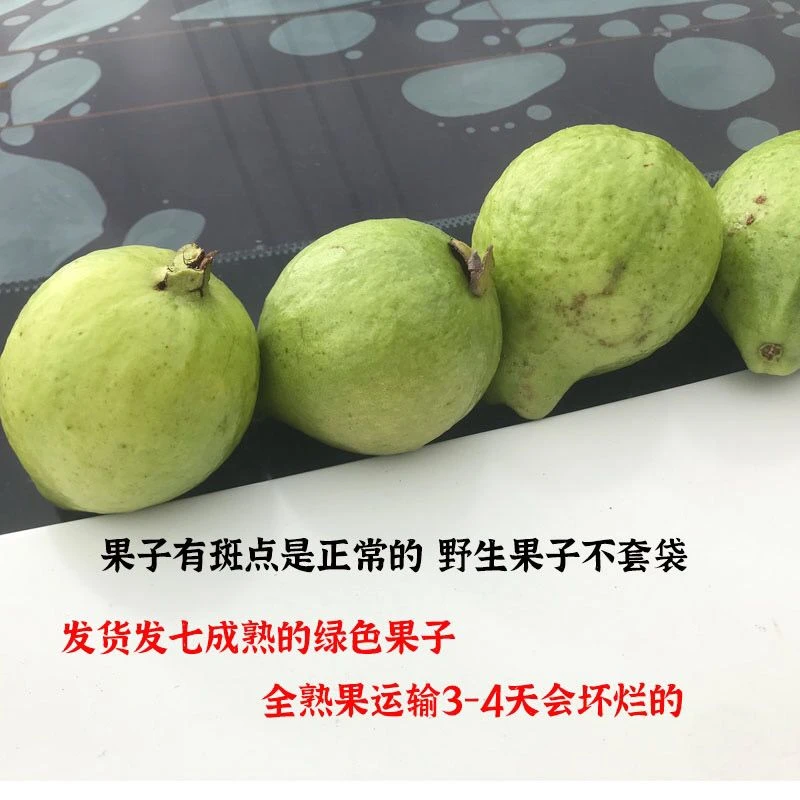 云南野生马力嘎新鲜小个老品种番石榴芭乐小麻哩嘎老缅桃当季水果