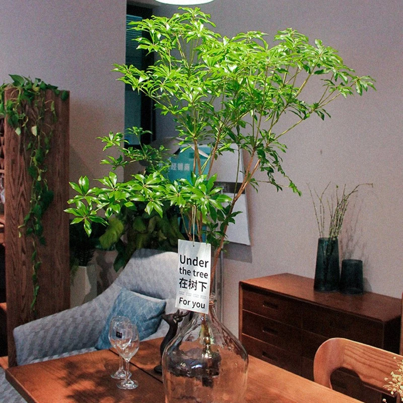 【花漫时光】V 马醉木鲜切枝水培植物室内日系清新绿植日本吊钟客厅