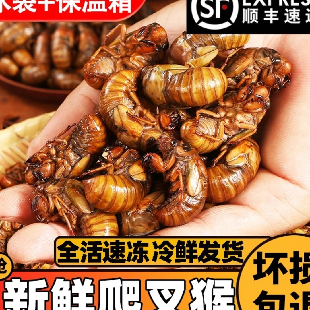 （西安一个小时送到家）鲜活知乐猴 香辣 椒盐一斤120粒左右顺丰