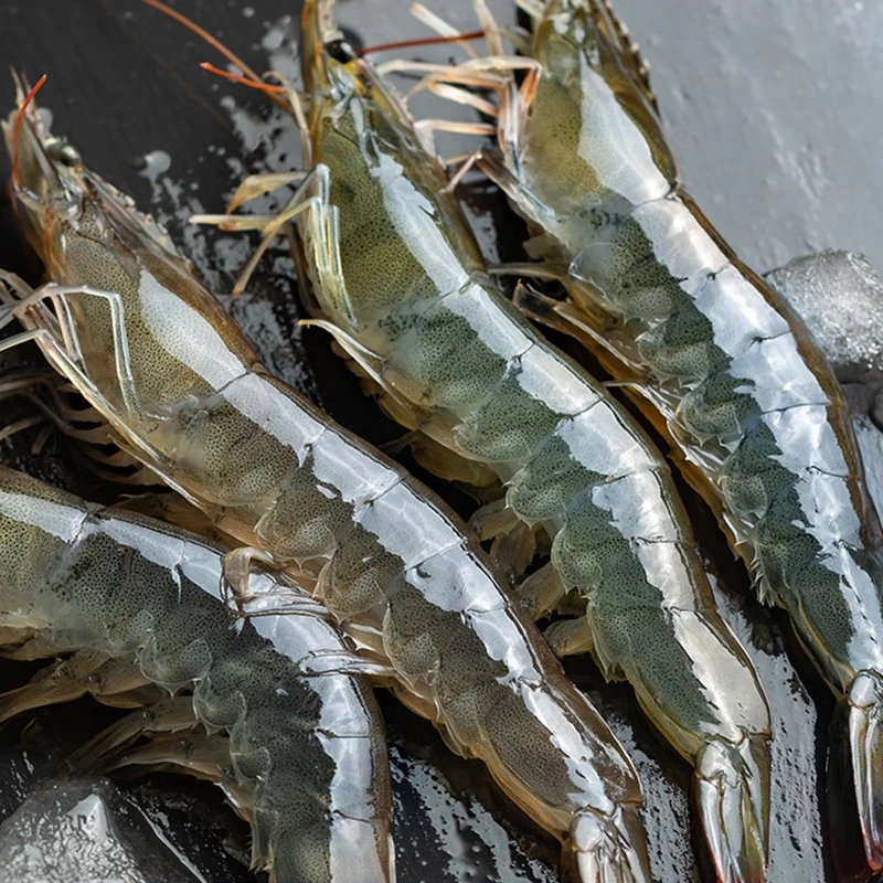 【厄瓜多尔气冻大虾～西安直发】净重3.6斤新鲜水产生鲜海水大虾