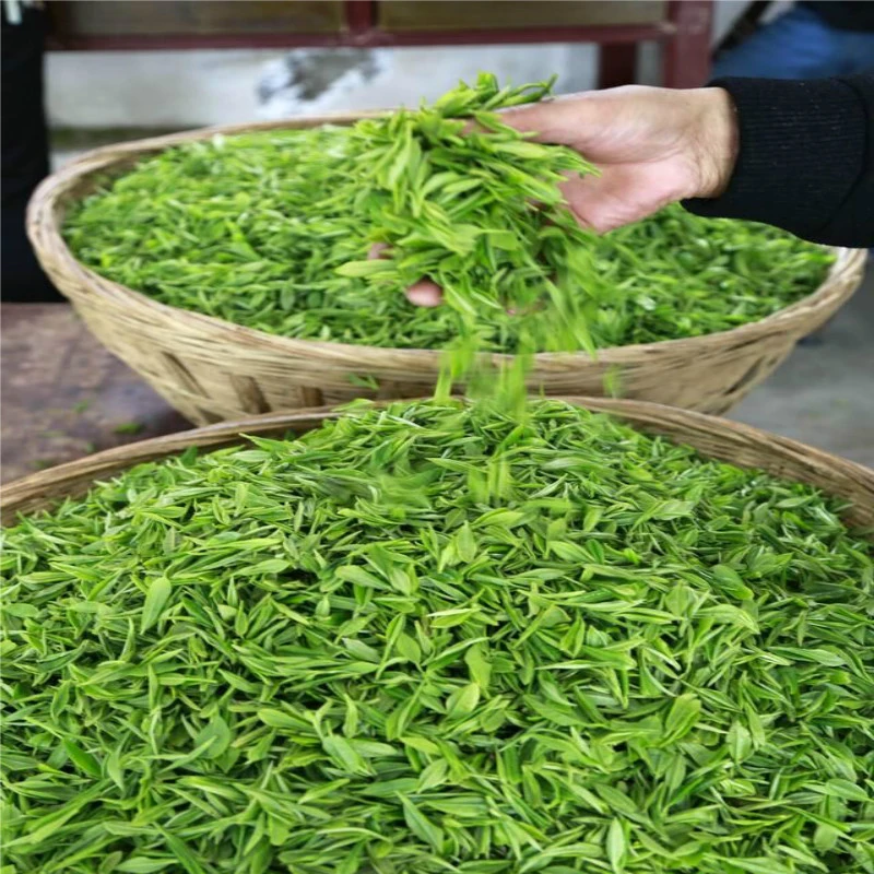 农家茶2025新茶蒙顶毛峰绿茶雅安蒙顶山高山云雾绿茶浓香耐泡散装