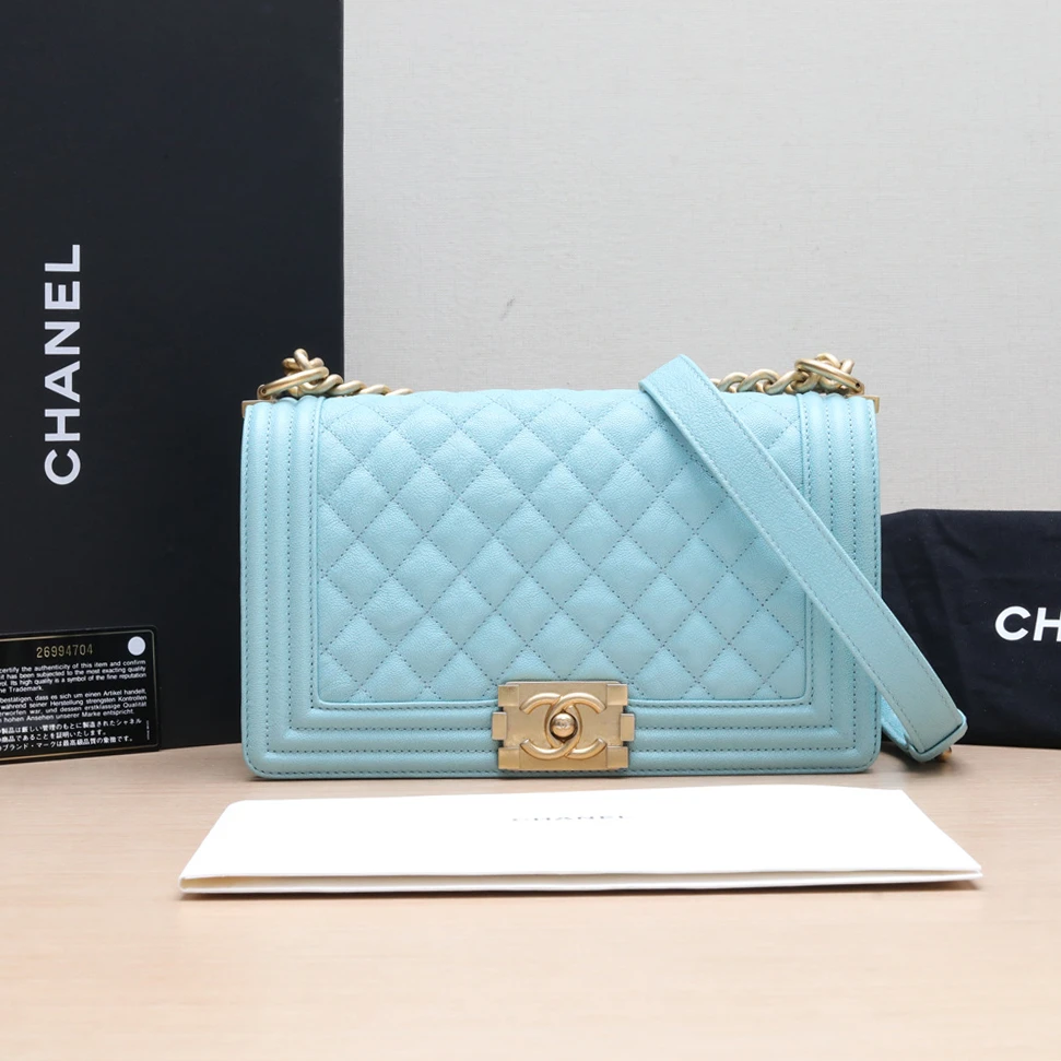 95新 Chanel/香奈儿 Leboy 中号 25cm 单肩包 26开 P244069195