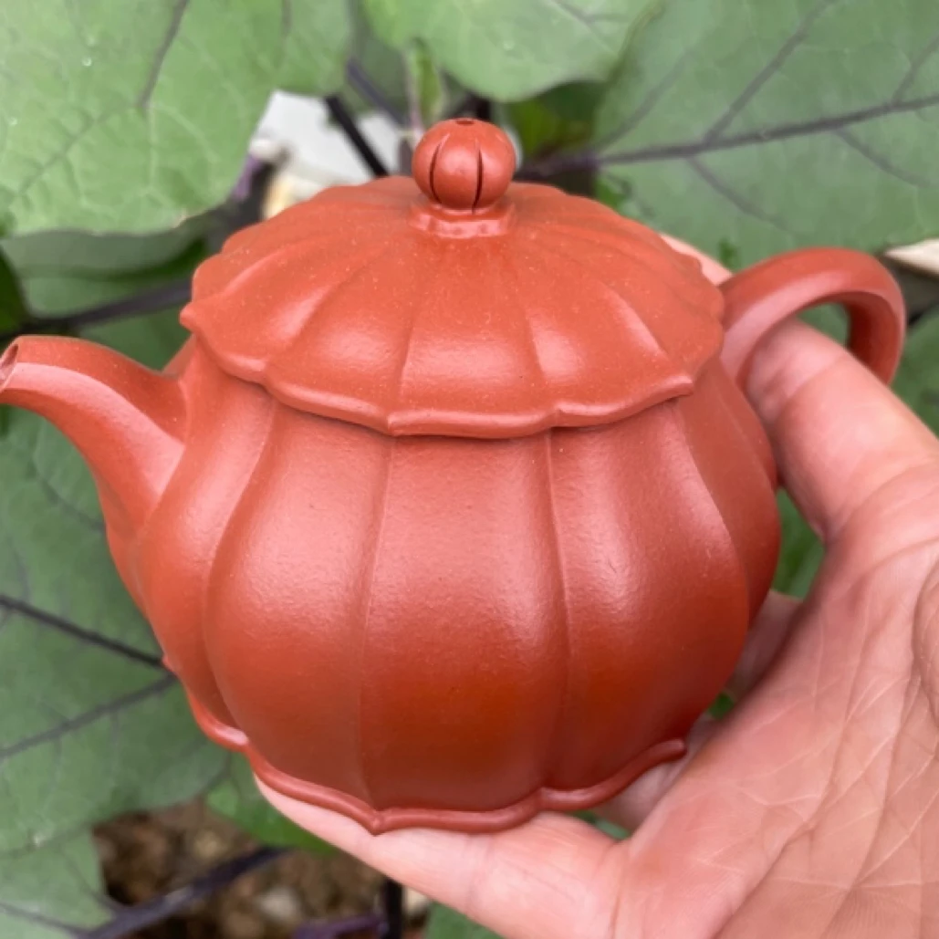 朱泥筋纹器菱花德中220cc