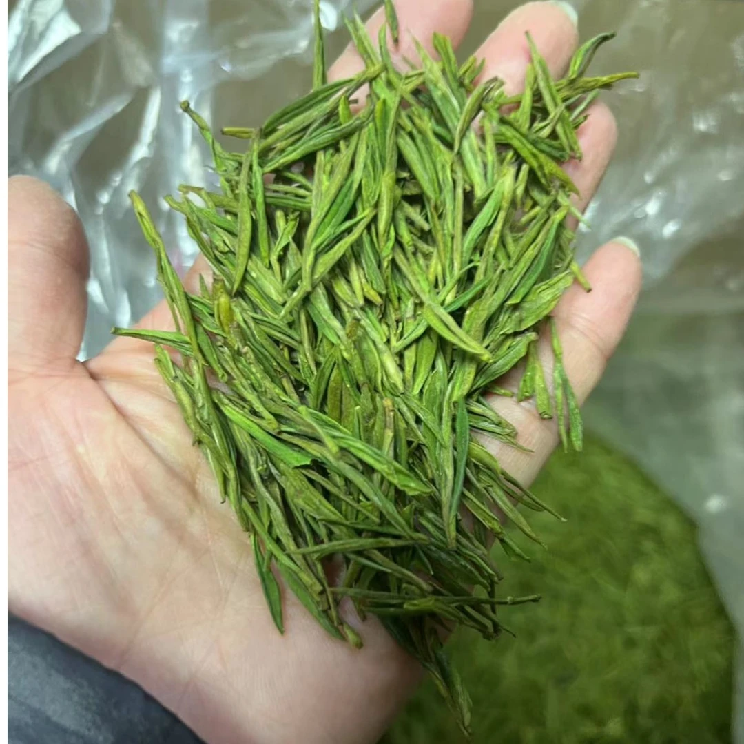 昕飞旭 {新年礼盒}2023春茶 产地浙江安吉 白茶 兰花香50克250克