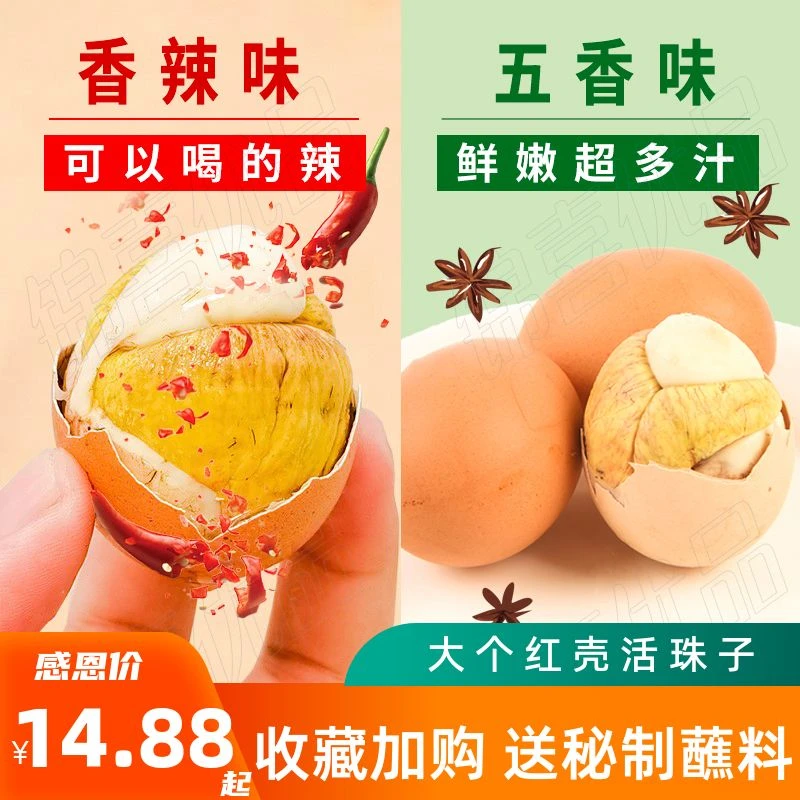 锦喜活珠子鸡蛋大个红壳香辣味真空包装孵化13天毛鸡蛋钢化蛋毛蛋