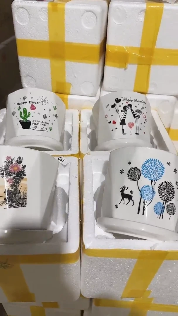 【闪购商品】陶瓷15cm以下(Q61)