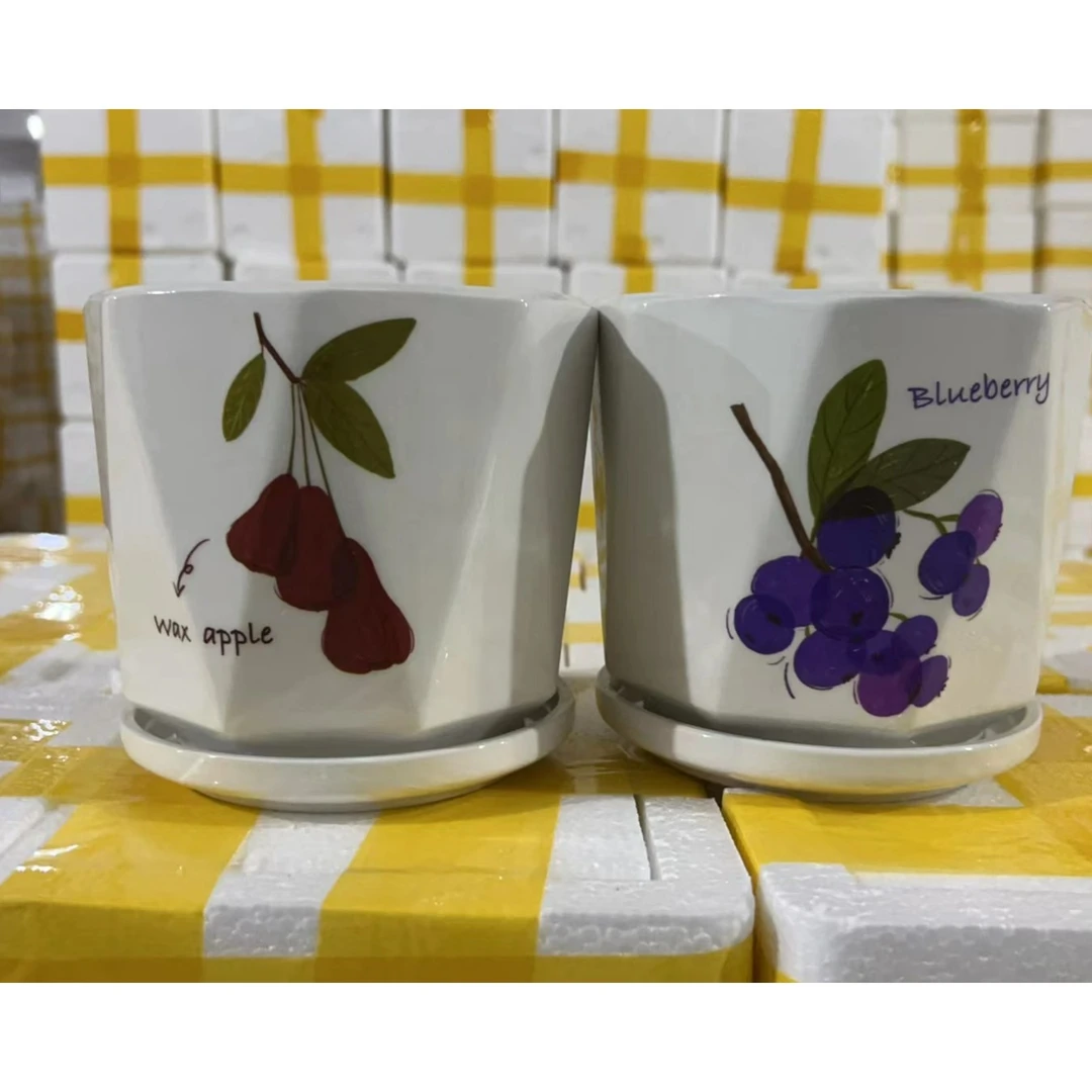 【直播专属链接】到手两个水果陶瓷花盆口13cm 高13cm（E100）
