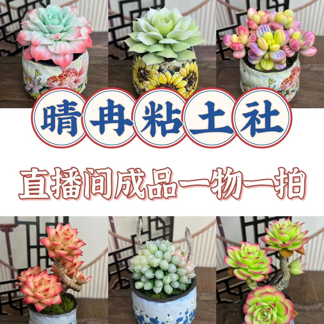 【晴冉粘土社】成品粘土多肉直播间一物一拍