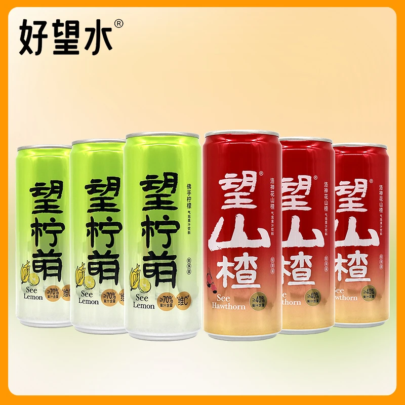 网红山楂柠檬330ml*6罐好旺水洛神花山楂汁佛手柠檬气泡果汁饮品