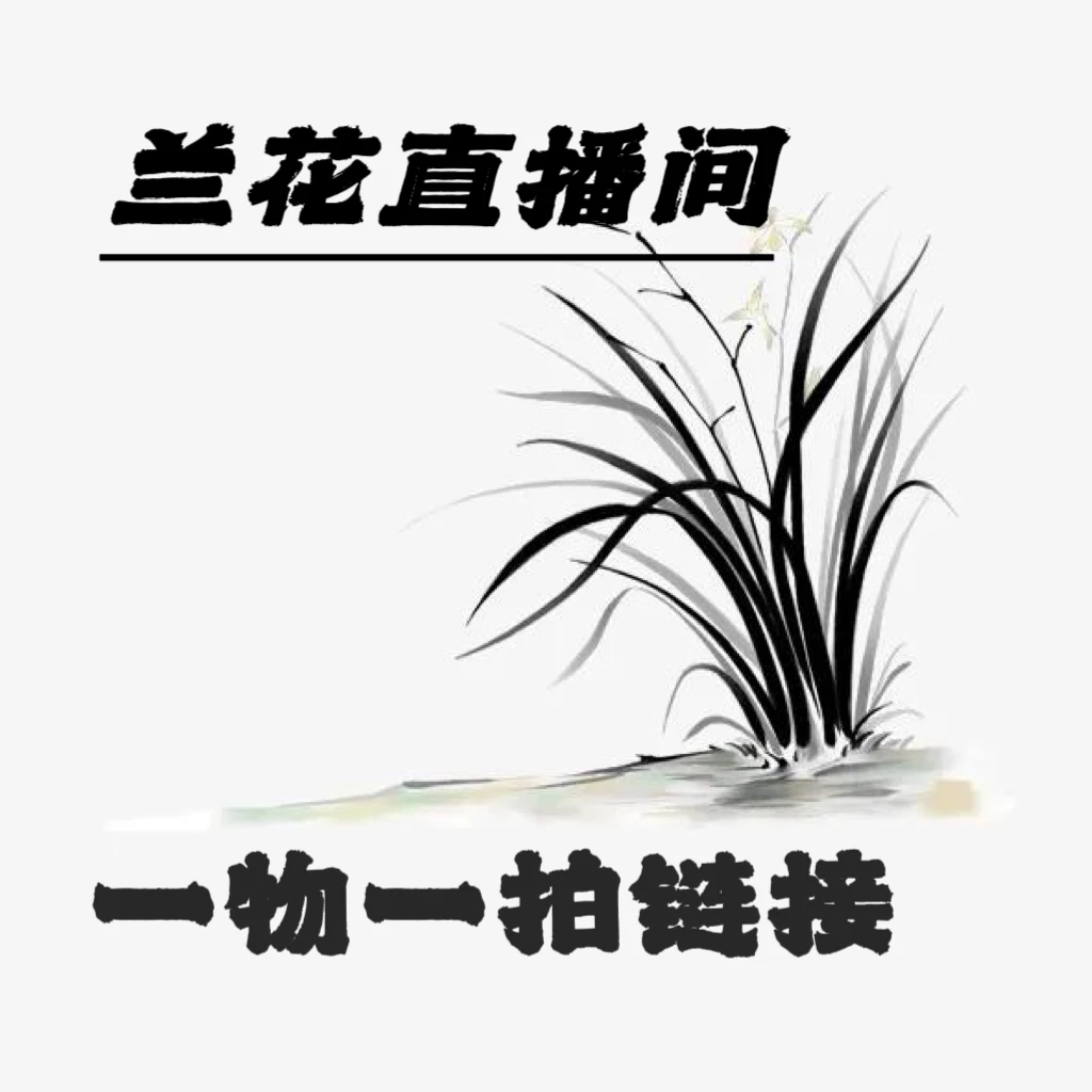 兰花直播间专用链接