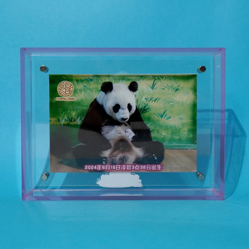 伴手礼熊猫三胞胎萌萌与千金伴手礼返场