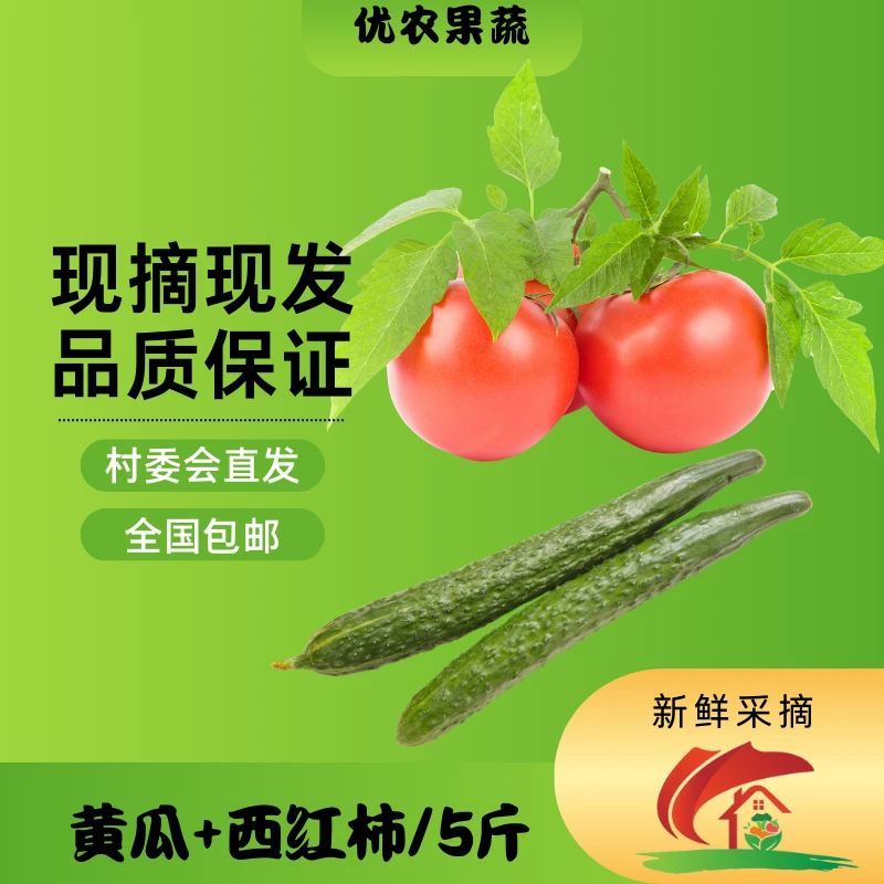 【书记推荐】上辛庄村蔬菜组合西红柿黄瓜茄子苦瓜现摘现发新鲜到家