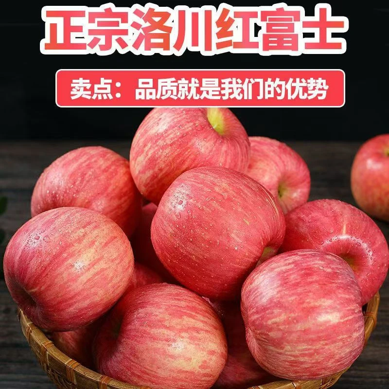 绿色有机正宗洛川红富士苹果脆甜爆汁皮薄肉厚果园直发新鲜采摘