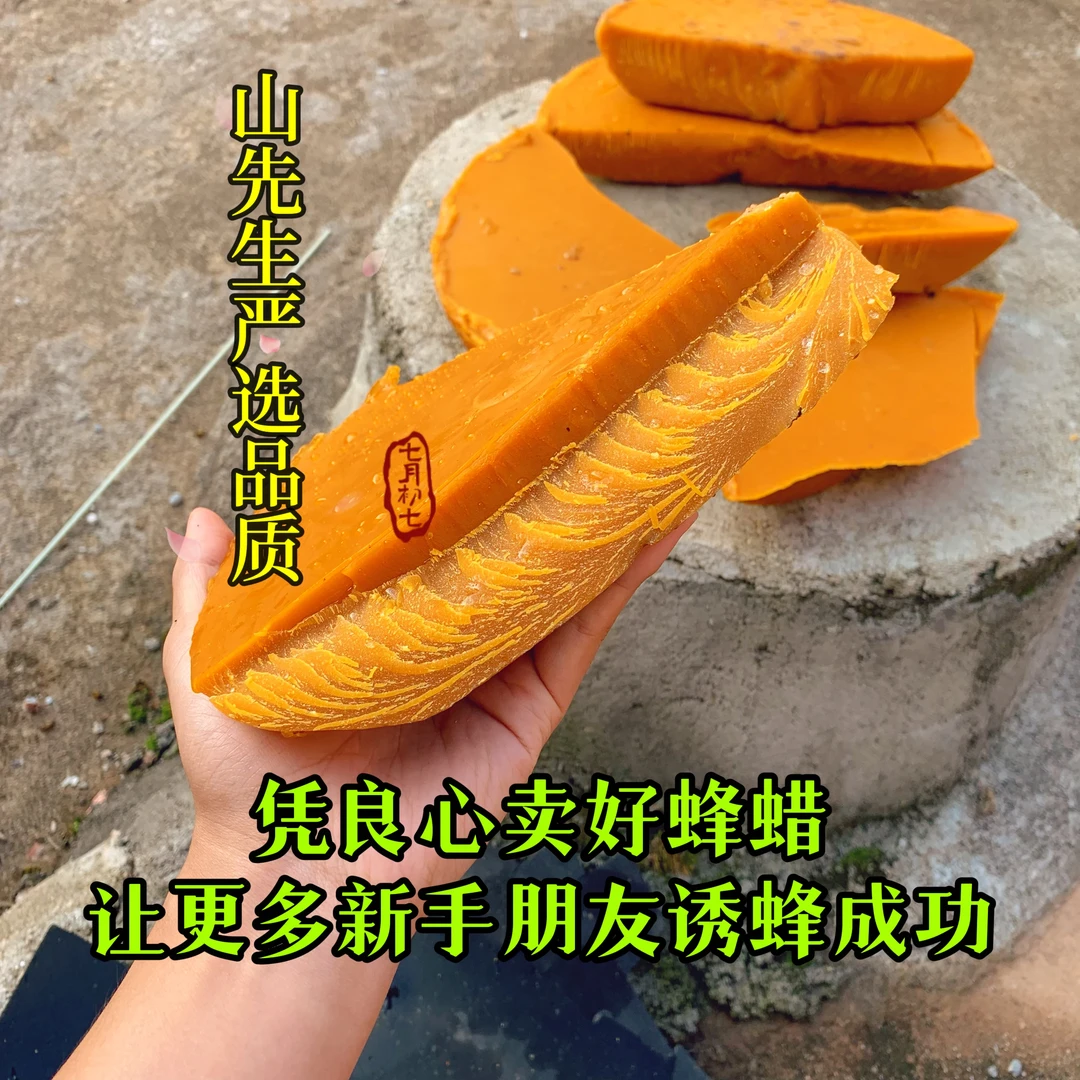 正宗诱蜂蜡中蜂蜡老脾蜡诱蜂专用诱蜂药诱蜂神器新手严选
