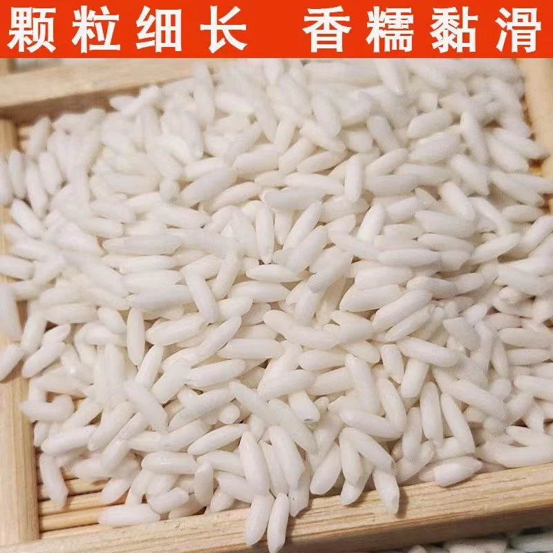 糯米新米圆糯米江米三斤包粽子专用酿酒商用江米农家新鲜