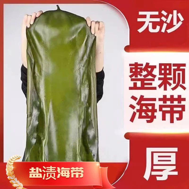 新鲜盐渍整颗海带包饭海带头丝非干货火锅麻辣烫商用5斤鲜嫩海带