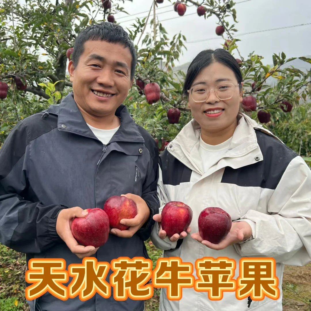 正宗甘肃天水高山花牛苹果4.5斤香甜多汁细腻可口新鲜水果
