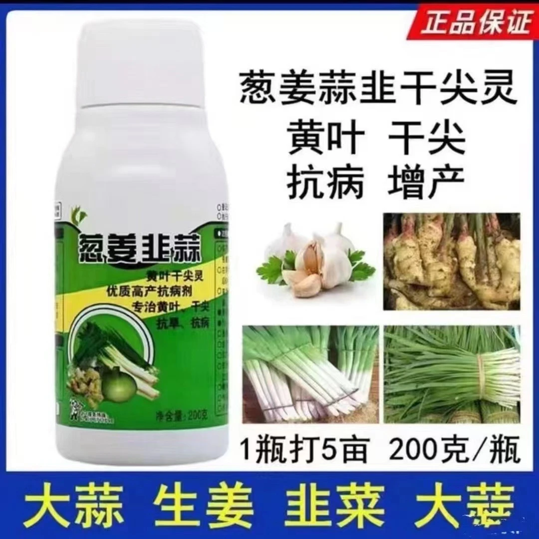 【民盈肥料】干尖黄叶灵大葱生姜韭菜大蒜壮苗去除黄叶干尖