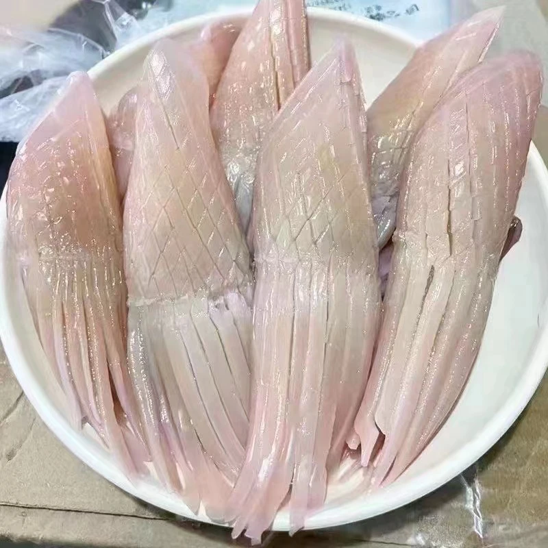 火箭鱿鱼 原产地直发 批发