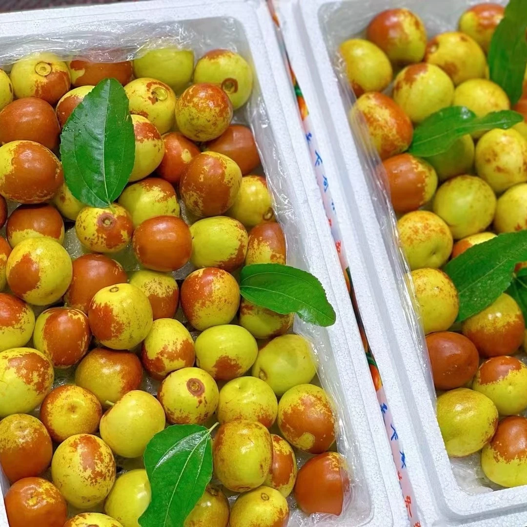 【2斤】陕西大荔5A冬枣B，2斤，陕西大荔冬枣脆甜多汁爽口新鲜水果皮薄冰糖鲜枣当季鲜枣子