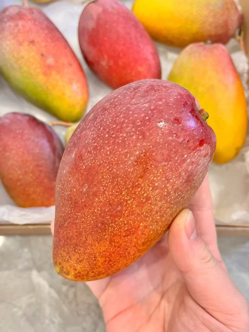 【11.8元1斤，好吃，甜】海南贵妃芒，11.8元1斤｜三亚当季树上熟贵妃芒果香甜多汁优质水果七彩芒果热带农产品肉厚