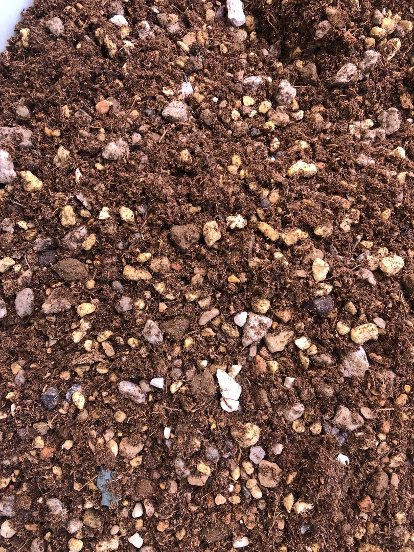 多肉圆滚滚奶锦颗粒土