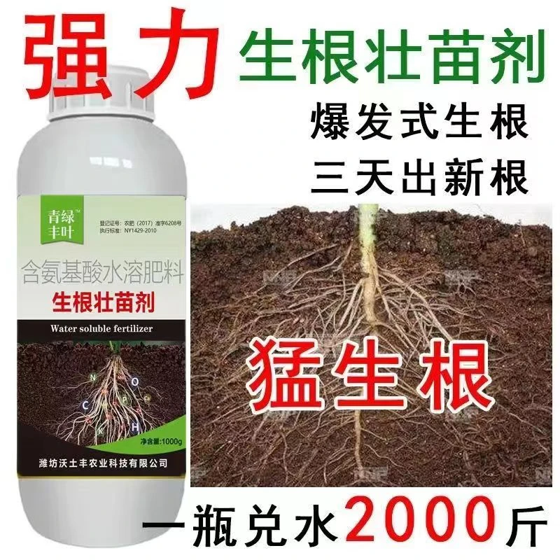 生根壮苗剂农业氨基酸生根剂园林防冻防治专治根腐病立枯克星