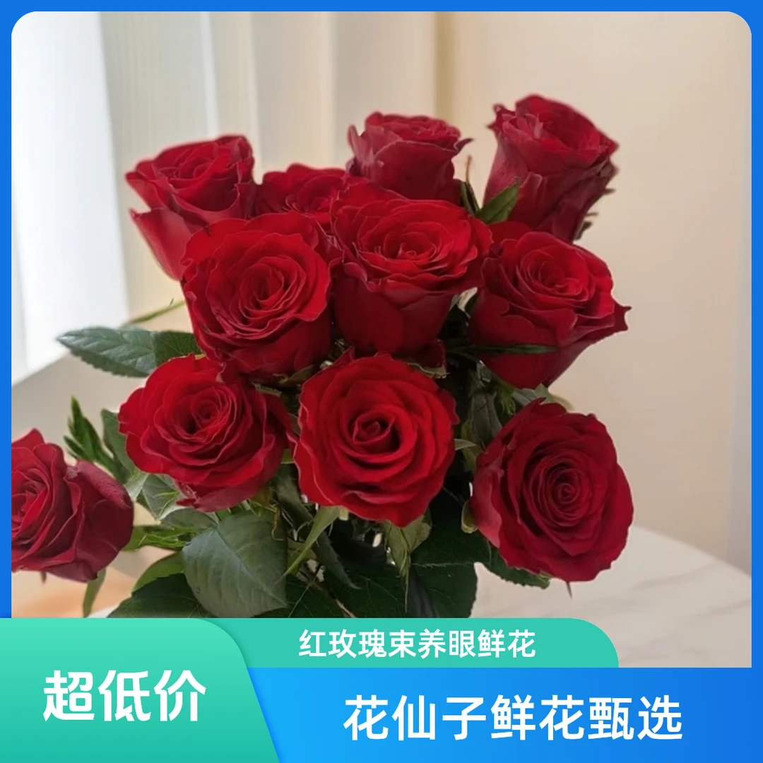 【花仙子鲜花甄选】红玫瑰高原红+配草-鲜花家庭养护