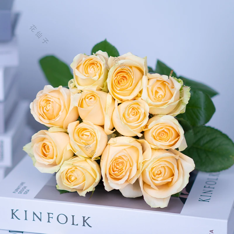 【花仙子鲜花甄选】香槟玫瑰10枝