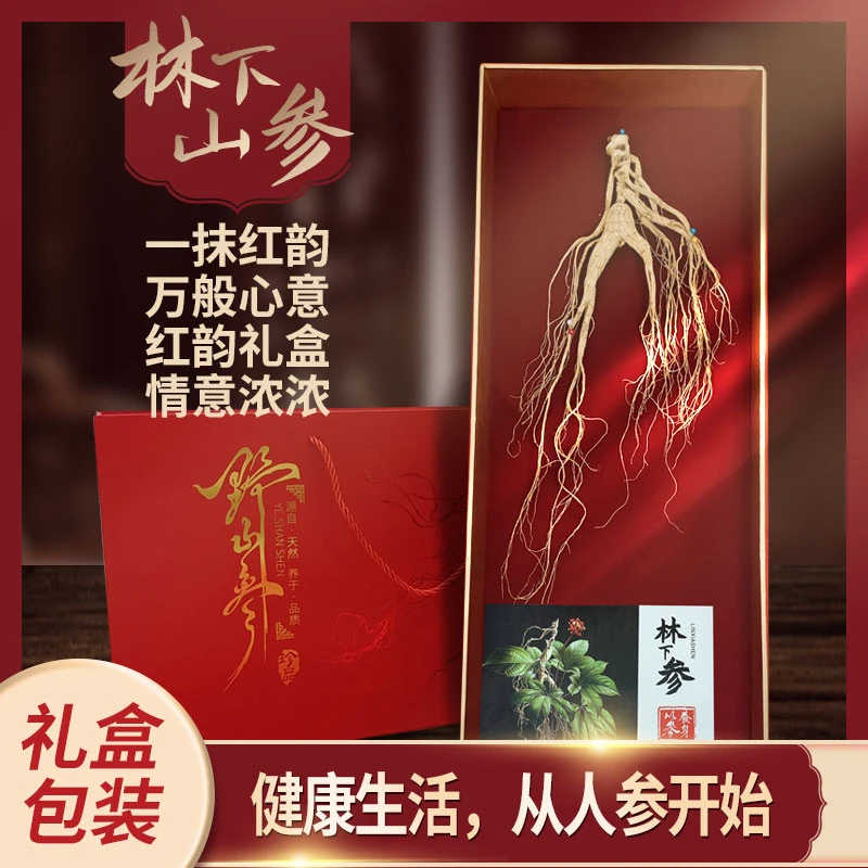 长白山林下山参高端礼盒单只装红色年节喜庆送礼高年头老参礼盒45