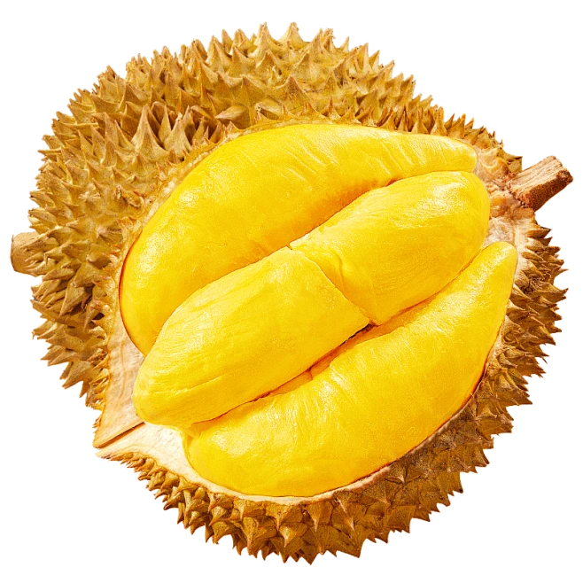 泰国金枕树熟榴莲（一物一拍）