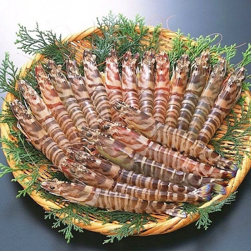 斑节虾 厦门海鲜配送 顺丰 现称