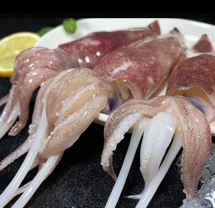 小脆管5斤 厦门海鲜配送