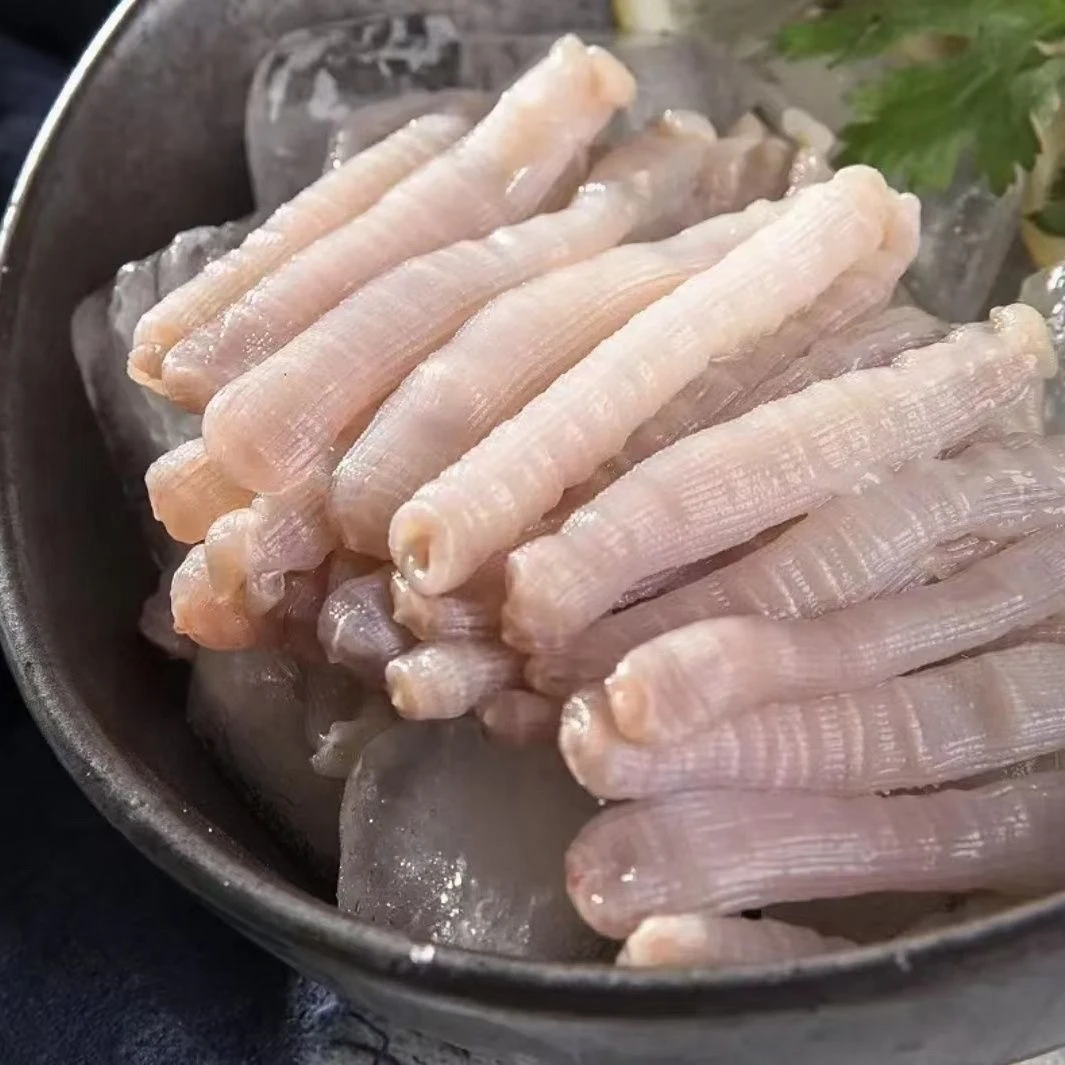 沙虫 鲜冻  厦门海鲜配送 顺丰 现称（每盒杀完4两左右）