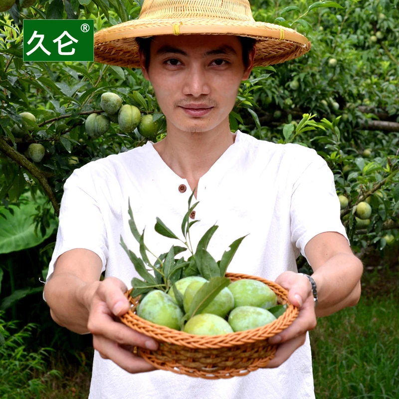 久仑福建油奈应季农家奈李子青奈果桃形新鲜柰孕妇水果空心脱骨李