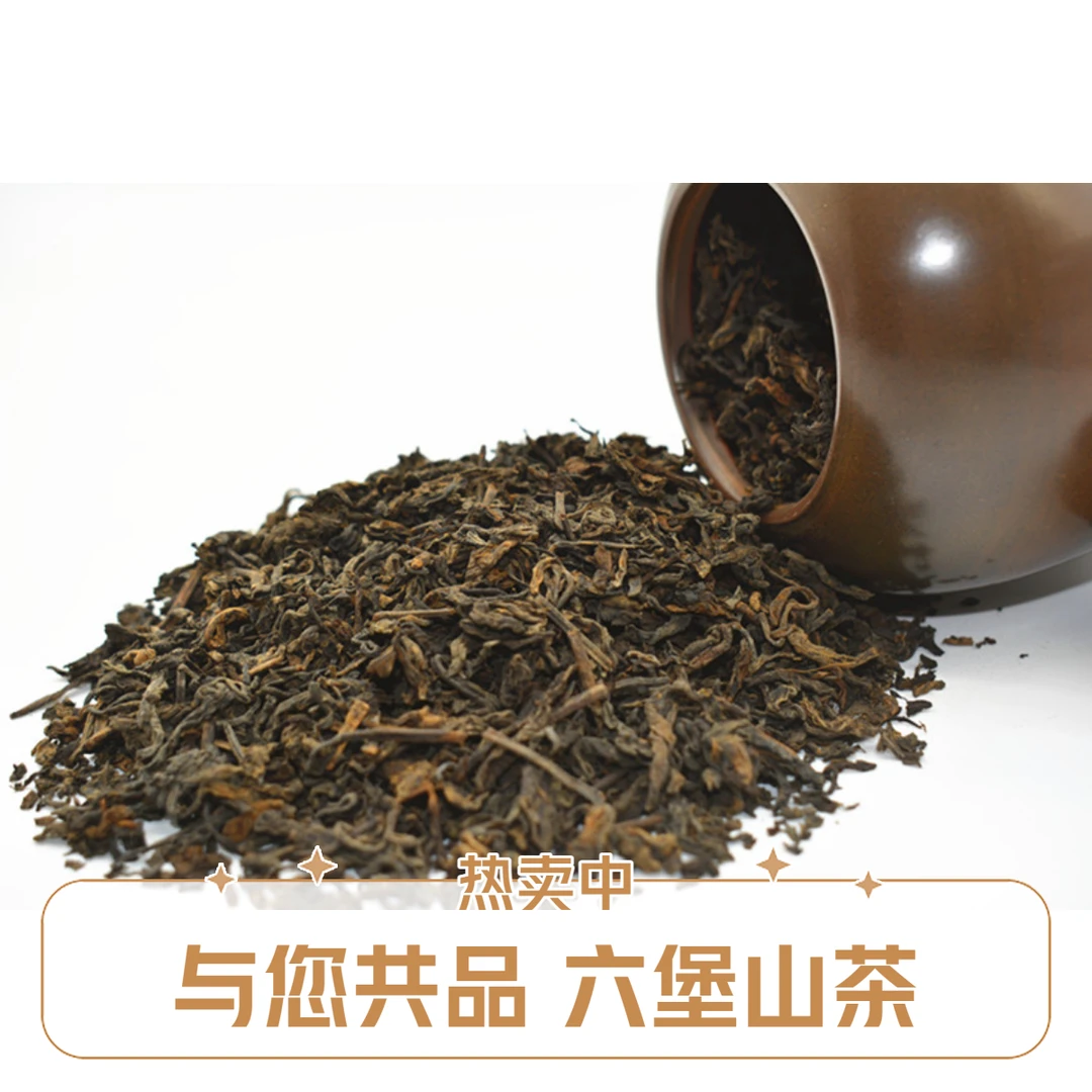 【14601】广西梧州陈年六堡茶祛湿气黑茶醇香老茶