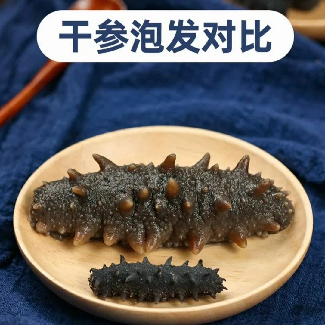 甄选国标纯淡干海参90-110头干参250g/500g 正宗大连底播辽参