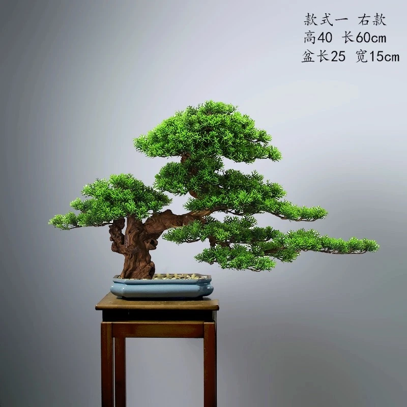 高端罗汉松造型地景树室内植物庭院迎客松真树老桩客厅办公室盆栽