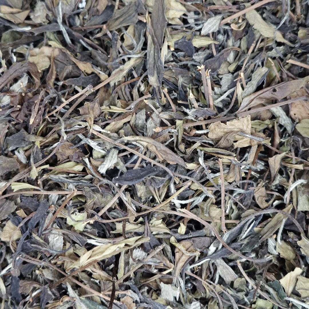 2014年野枞春寿眉