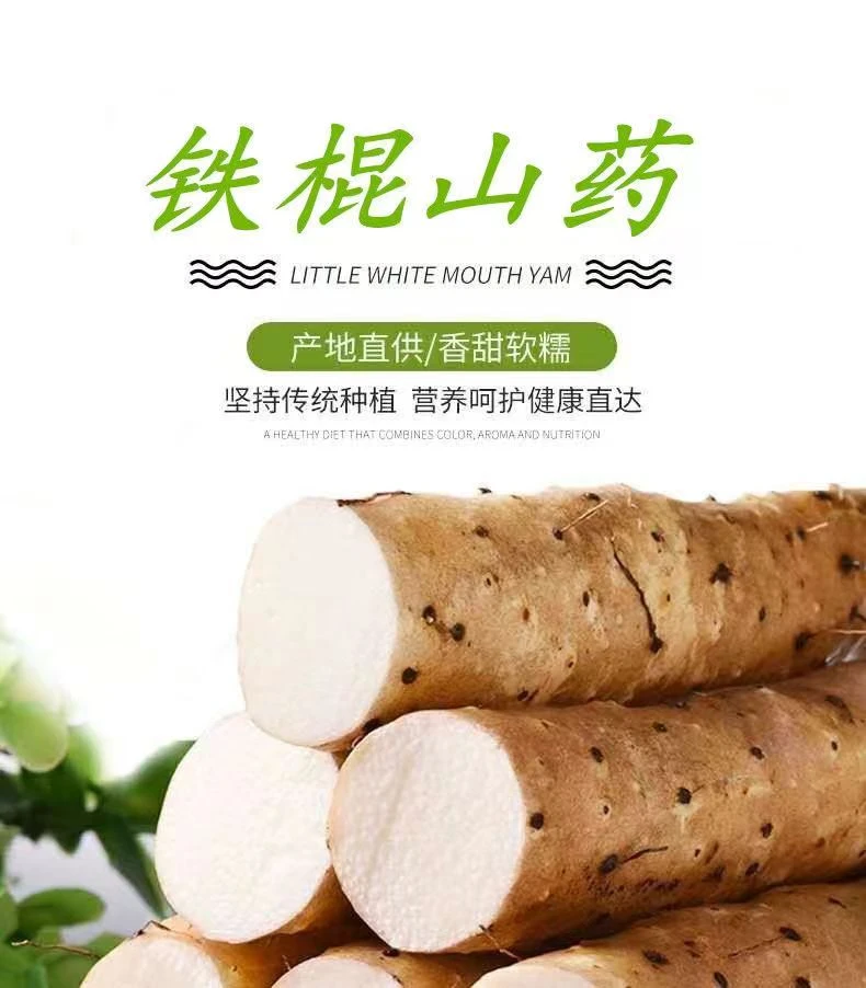 正宗铁棍山药现挖现发软糯净重五斤(50-70公分长）