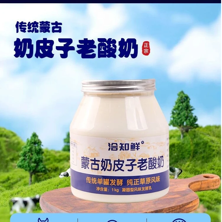大瓶酸奶1000克奶皮子传统酸奶蒙古经典单罐发酵奶皮子酸奶好喝
