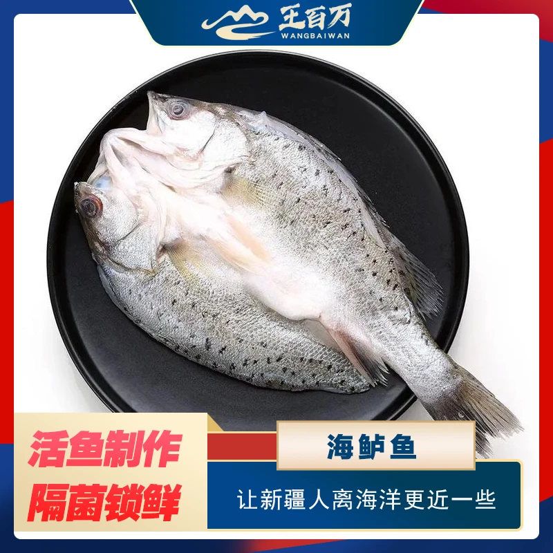 【王百万海鲜】只发新疆开背深海鲈鱼550克左右/条新鲜冷冻