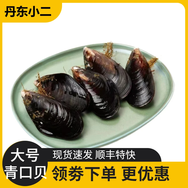 鲜活海鲜贝类蓝口贝大号青口贝新鲜海虹淡菜贻贝约10-12个/斤贻贝
